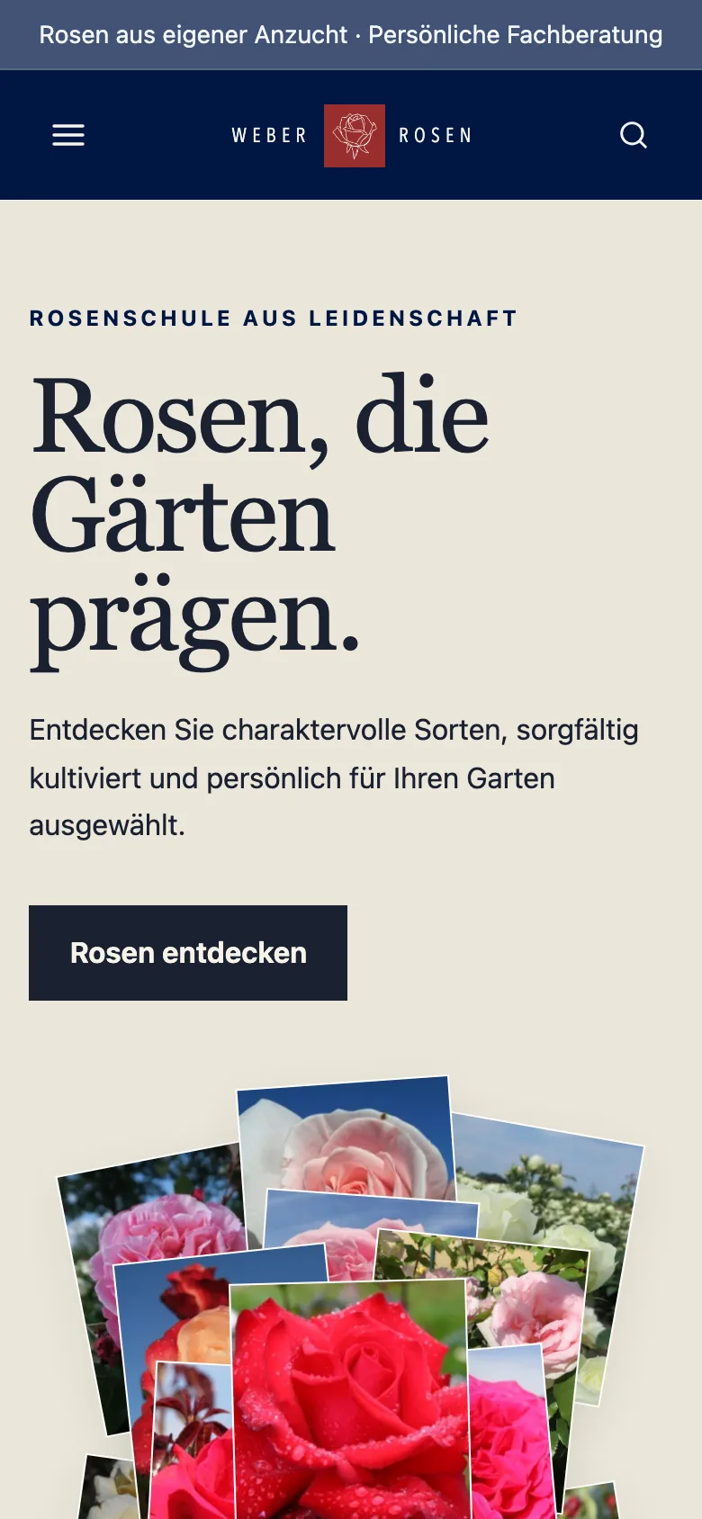 Weber Rosen on a small screen